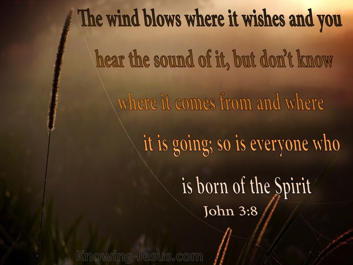What words truly endure and do not get swept away by the wind